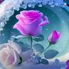 user3447481021487