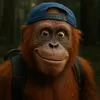 orangoulangue_vlogs