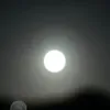 mohammadalebeisat