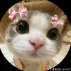 alifa_official_69