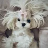 the_mrs.bella