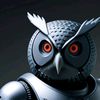 OWL Warrior