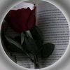 sayraislam055