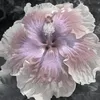 hwhehehe01