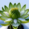 kimloannguyen0404