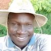 freemanafricana