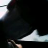 zily_2k8p