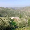 mostafaeddaoudy