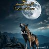 user33130885290022