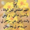 talhaoui.cheikh