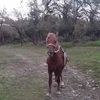deqstro