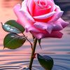 abdelkarimadam78
