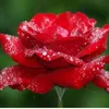 user8586186210505