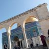 fayez.odeh