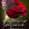 nooralzahra1999