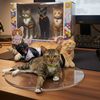 house_animal55