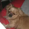 millauyn