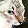 arthur_reiskkkk
