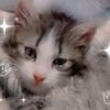 yessi.m.v7