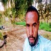 bigali.krim
