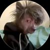 datboymarc1