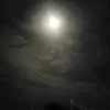 .truongnero