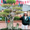 lnhphamquang