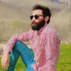 didarsaed5