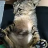 hiennguyen_27