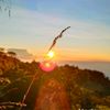 love.sunset17
