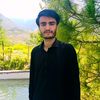 sayedabbasabbas4