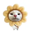 aylin.__.rhz