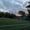 nealindfors