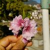 priyaa089672937