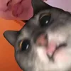 itzve_an00