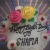 shapla6651