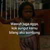 iy4n.s4j4