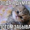 lovecats7281