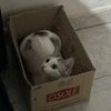 luisa052_
