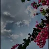 ...jgu