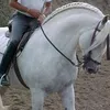 santinobevilacqua8