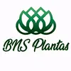 BNS Plantas