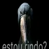 mateusm626