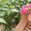 malak2004722