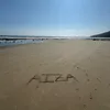 aiz4.4