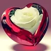 user8118012426713