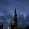 saadelmaghraby7