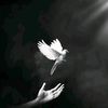roseofsharon619