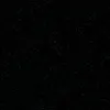 black_panther204