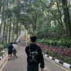 sallfaz_1